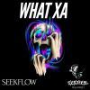 Download track What Xa (Original Mix)