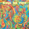 Download track You Set My Soul On Fire (Alternative Version)