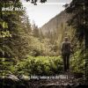 Download track Calming Hiking Ambience In The Rain, Pt. 4