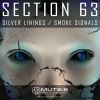 Download track Silver Linings (Original Mix)