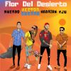 Download track Flor Del Desierto