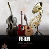 Download track Pérdon (En Vivo)