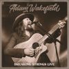 Download track Breaking Strings (Live)