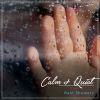 Download track Rain Sound: Calming Music
