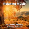 Download track Relaxing Music For Serenity