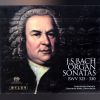 Download track Sonata II In C, BWV 526: III. Allegro