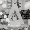 Download track Dream-Like Moods For Dog Separation Anxiety