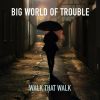 Download track Big World Of Trouble