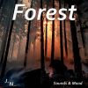 Download track Wind And Birds In The Forest