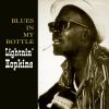 Download track Catfish Blues (Original Mix)