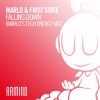 Download track Falling Down (MaRLo's Tech Energy Extended Mix)