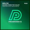 Download track Sounds From The Valley