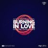 Download track Burning In Love (DoubleV Extended Remix)