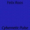 Download track Cybernetic Pulse (Radio Edit)