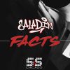 Download track Facts (DJ Skip & Zonum S&S Remix)