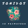 Download track Sonidos De Primavera (Original Club Mix)