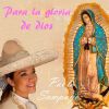 Download track Virgen Mexicana