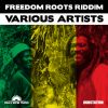 Download track Freedom Roots Instrumental Version