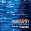 Download track Symphony No. 1: III. Allegretto Misterioso