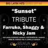 Download track Sunset (In The Style Of Farruko, Shaggy & Nicky Jam) [Instrumental Version]