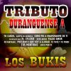 Download track Te Tuve Y Te Perdi