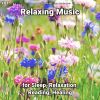 Download track Relaxing Music, Pt. 4