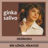 Download track Bir Gönül Hikayesi