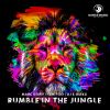 Download track Rumble In The Jungle (Extended Mix)