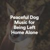 Download track Peaceful Dog Music For Being Left Home Alone, Pt. 1