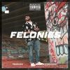 Download track Felonies