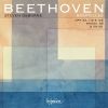 Download track 6 Bagatelles, Op. 126 - # 4 In B Minor: Presto