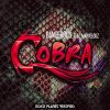 Download track Cobra (Sonny Aka One Step Mix)