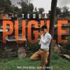 Download track Pugile