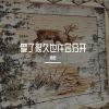 Download track 爱了很久也许会分开