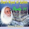 Download track Charh Riyad Al Salihin, Partie 11, Pt. 7