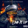 Download track Live It Up