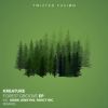 Download track Forest Groove (Fancy Inc Remix)