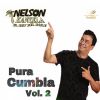 Download track Pura Cumbia Vol. 2