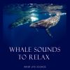 Download track Underwater Sounds And Atmospheric Tones To Get Calm Down And Clean Your Energy