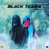 Download track Black Tears (Remix)