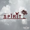 Download track Spirit (Original Mix)