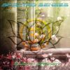 Download track Lotus Temple (Original Mix)