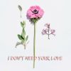 Download track I Don't Need Your Love (Extended Mix)