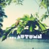 Download track Luv (In Autumn)