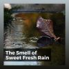 Download track Soothing Sound Of The Rain