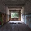 Download track I Feel Everything