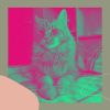 Download track Vintage Ambience For Friendly Cats