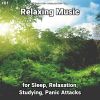 Download track Relaxing Music, Pt. 2