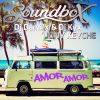 Download track Amor Amor (Radio)