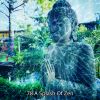 Download track Calm With Yoga